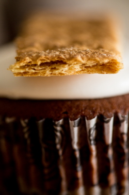 digi's cupcakes final-1012